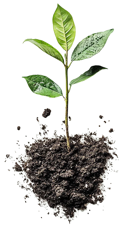 поставщик нитрата калия и сульфата калия